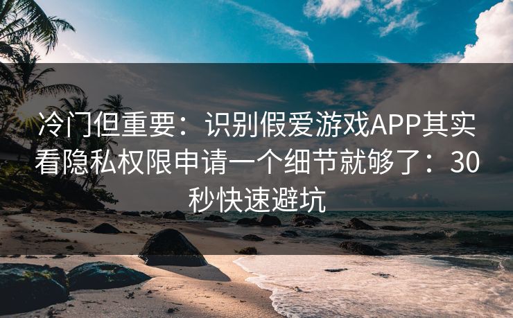 冷门但重要：识别假爱游戏APP其实看隐私权限申请一个细节就够了：30秒快速避坑